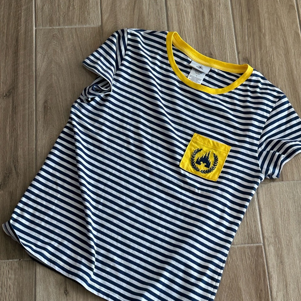 Disney Park Blue and White Striped Tee with Yellow Accents